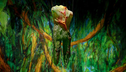 Debut de Panamá en la Biennale di Venezia