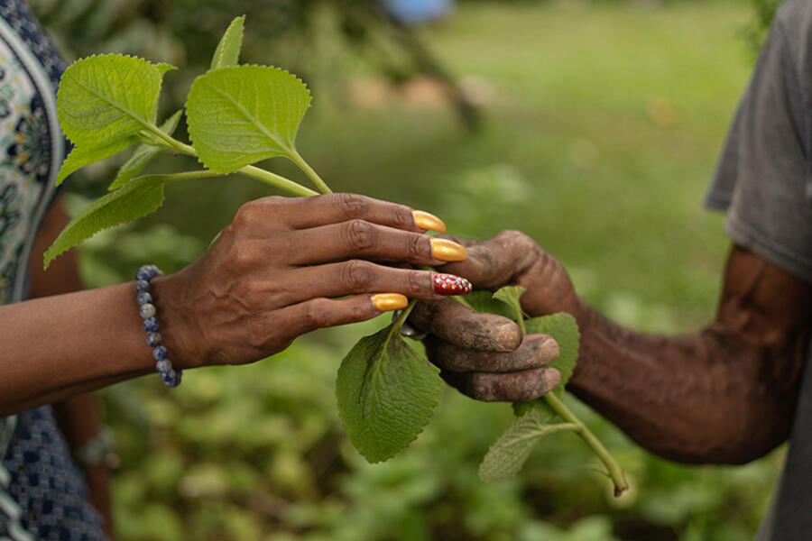El valor de la soberanía en el jardín de Mr. Brown, exposición en el Museo del Canal Interoceánico.