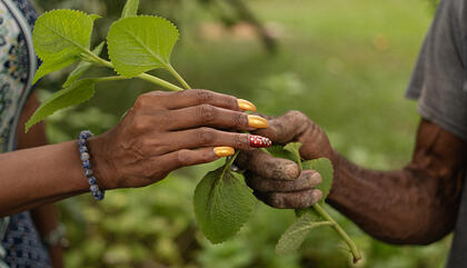 El valor de la soberanía en el jardín de Mr. Brown, exposición en el Museo del Canal Interoceánico.