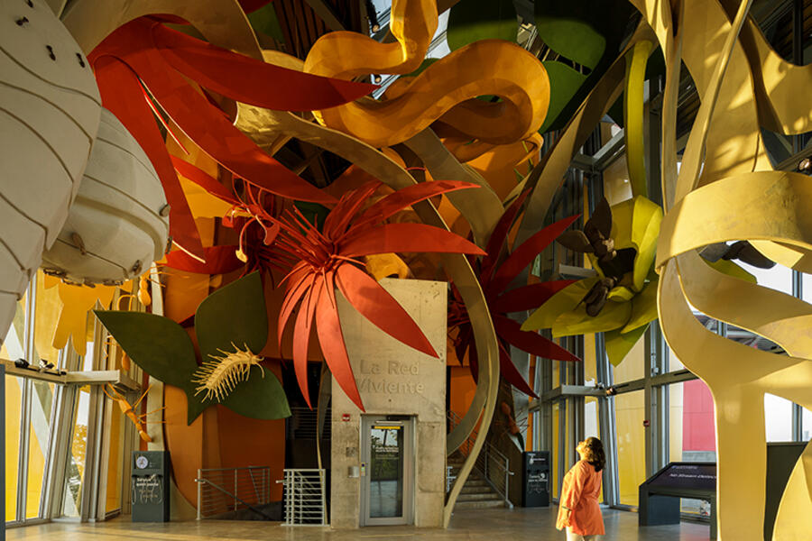 El Biomuseo, ciencia y arquitectura de primer nivel