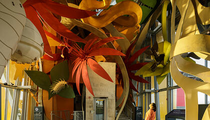 El Biomuseo, ciencia y arquitectura de primer nivel