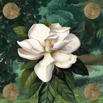 Your Perseverance and Resilience