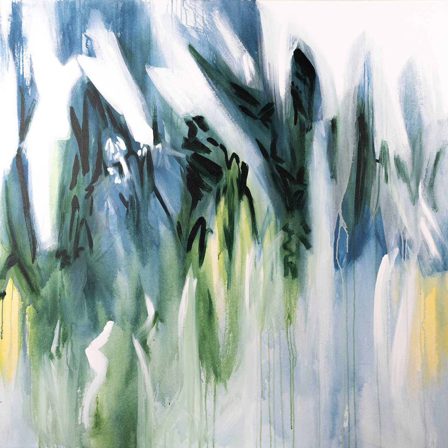 Culebra Island: árboles que crecen debajo del agua, un agua dulce artificial.