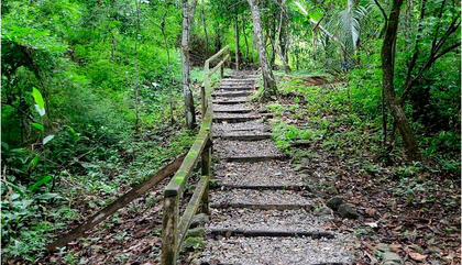 Parque Natural Metropolitano