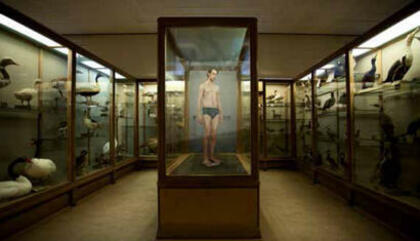 Proyecto fotografía