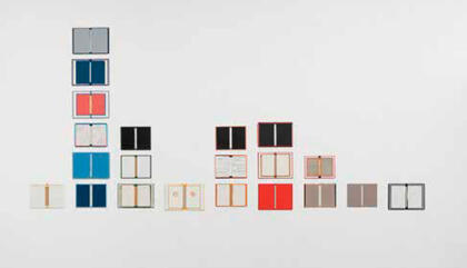 Marilá Dardot Mi biblioteca catalana, 2017. Tapas de libros pegadas con cola neutra y fijadas sobre pared con velcro. 320 x 177 cm.