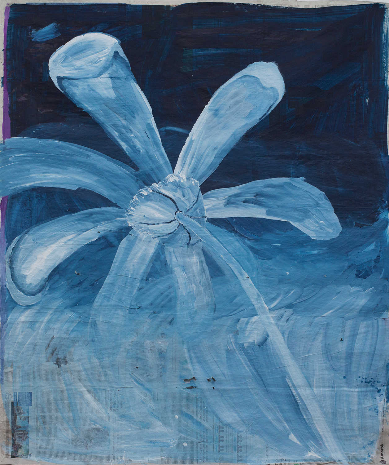 Me quiere no me quiere