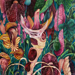 ST V - Serie Impenetrable