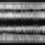 Estudio de luz y sombra XX