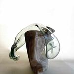 Bacterias simbióticas