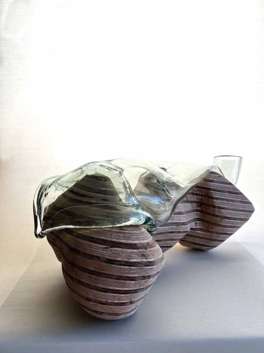 Recorrido simbiótico