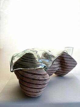 Recorrido simbiótico