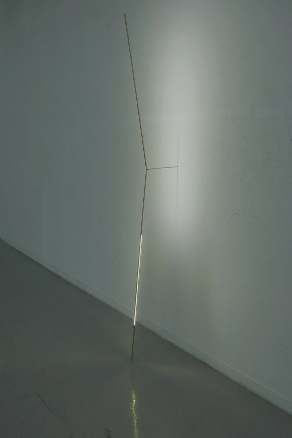 Resistente fragiidad 1