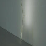 Resistente fragiidad 1