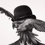 Man with Bowlerhat and guacamaya