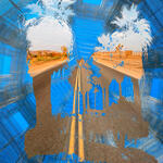 Planta Alta Joshua Tree