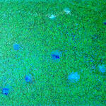 Mother nature please come back