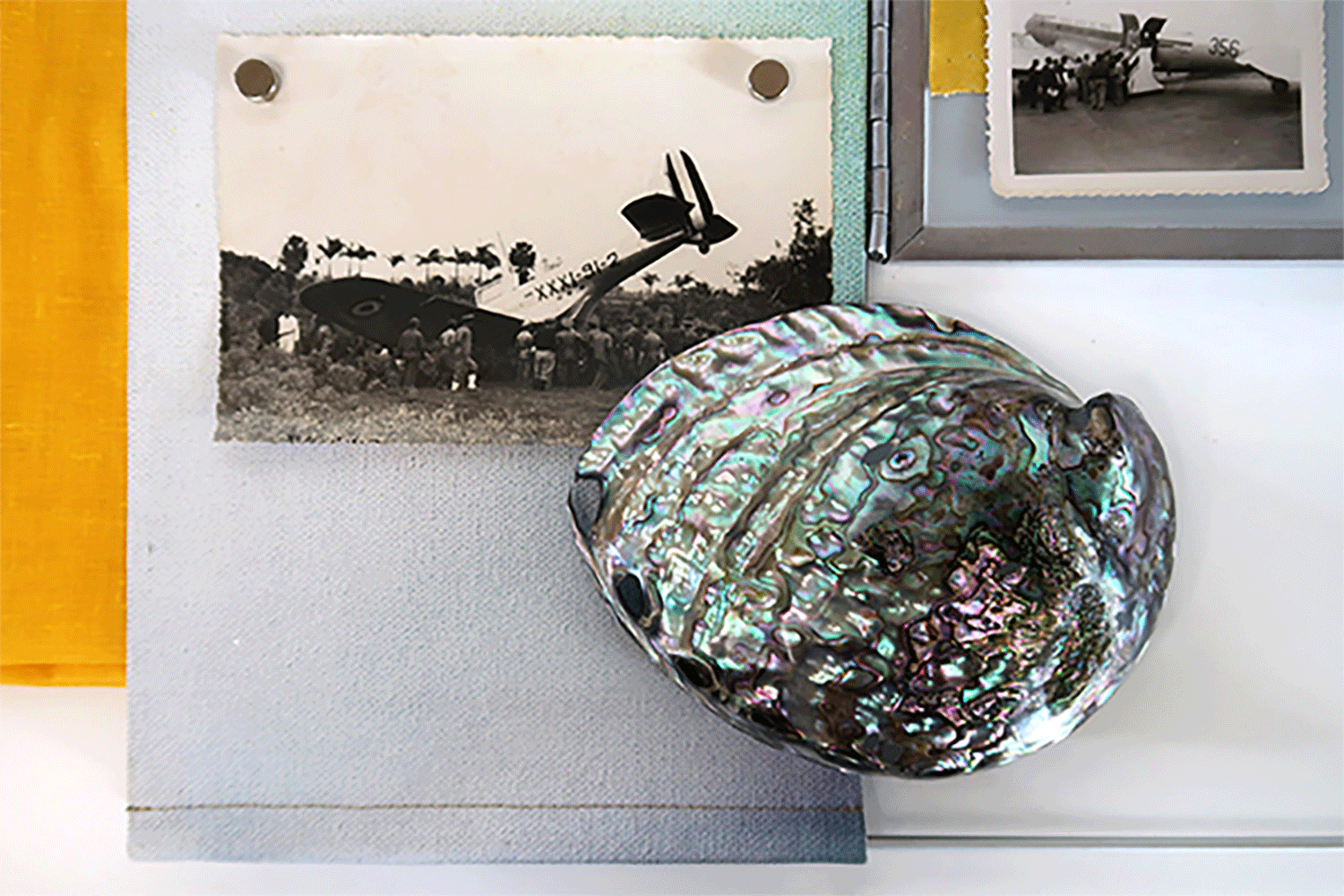 Hidroavión Abalon 1_Red de intercambio cultural (detalle)