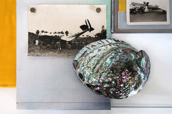 Hidroavión Abalon 1_Red de intercambio cultural (detalle)