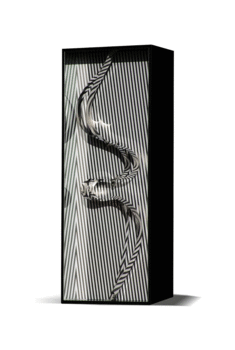 Formes en contorsions 1967-2018