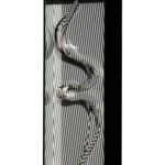 Formes en contorsions 1967-2018