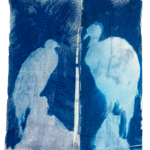 Cóndor en el espejo