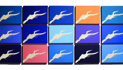 David Orbea Challenger, 2015. Pintura acrílica sobre lienzo. Dimensiones variables.