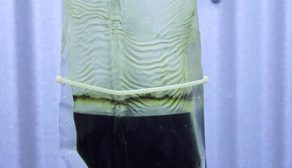 Sofía de Grenade Crisol Negativo, 2019. Resina poliéster, 