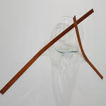 Complicity Vectors #2