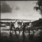 Expedición: La chucha perdida de los Incas