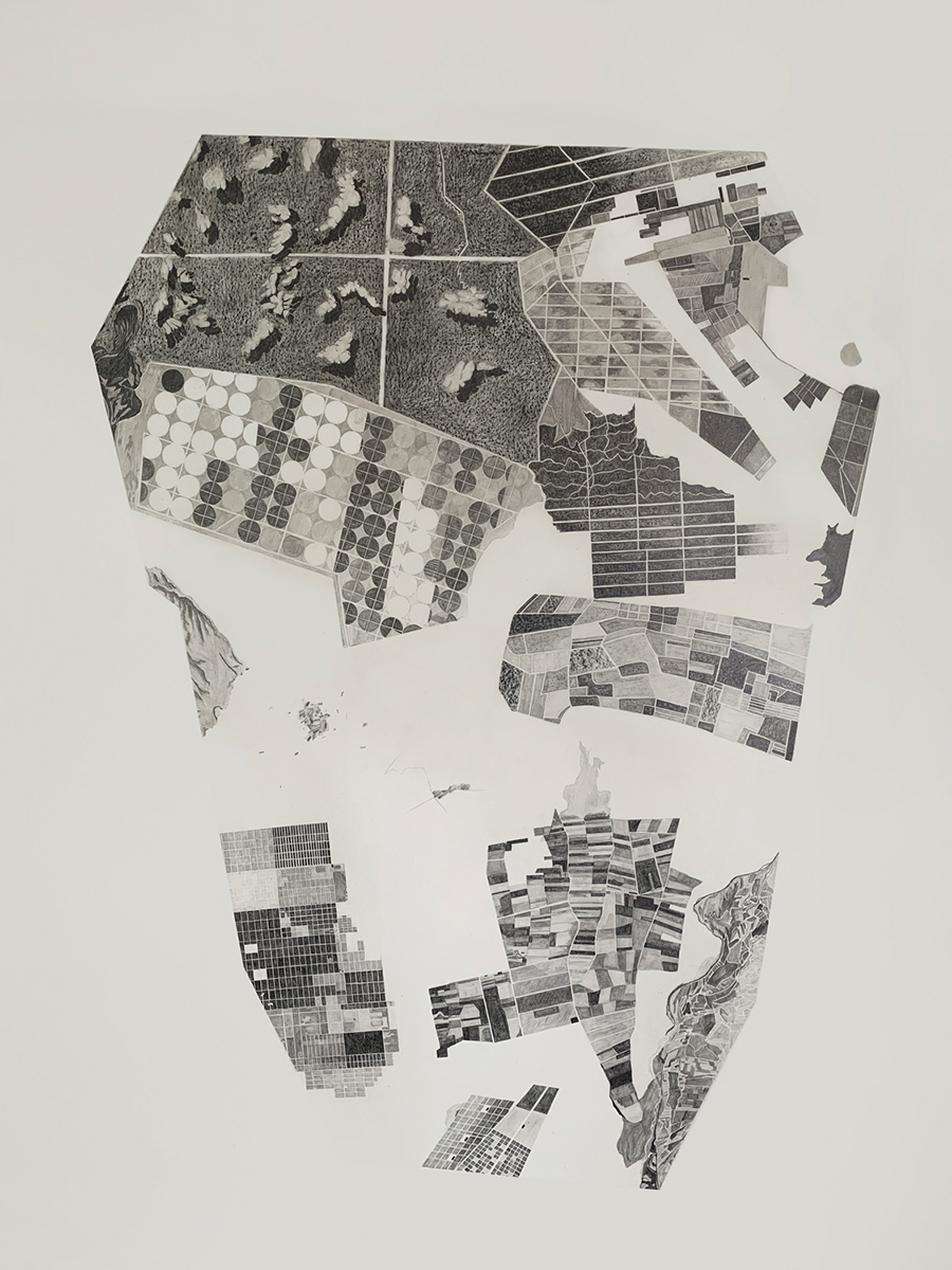 Cabeza de nuevo hombre peruano