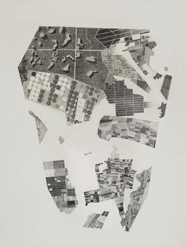 Cabeza de nuevo hombre peruano