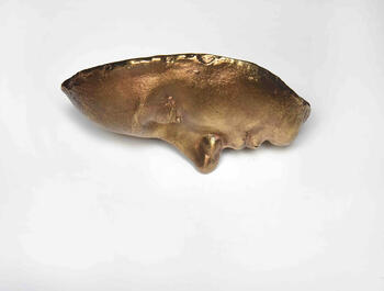 Soñar el propio mar