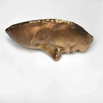 Soñar el propio mar