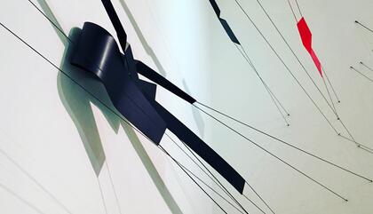 Luis Mille. Flexometry (Detail), 2016. Mixed Media. Measurements of Installation may vary