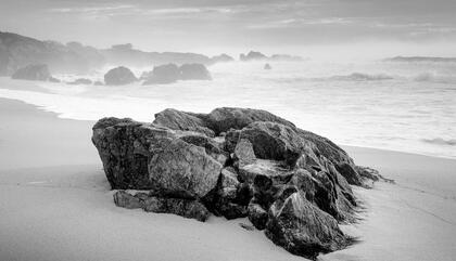 Alejandro Gulminelli. Castaway. Analog photography. Gelatin silver print. 12 x 16 inches. 2 of 7