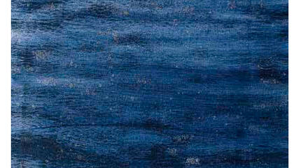 Santiago Paulós White horses, 2016 Oil, acrylic and silkscreen on canvas 20,86 x 15,74 inches