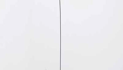 Samuel Lasso. Untitled from 