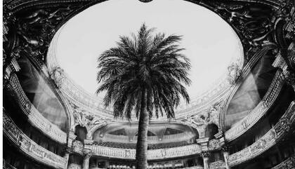 Gonzalo Fuenmayor. Tropical Elegance, 2015. Charcoal on paper - 42 x 62 inches.