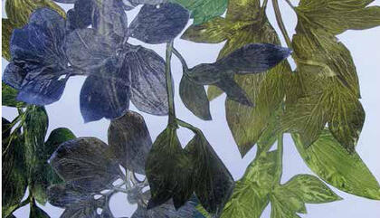 Marcela Marcuzzi. Flora (detail), 2015. Print from leaves Chine Colle’ on paper - 59 x 21 inches.