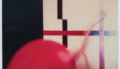 Manolo Vellojín. Untitled, ca. 1982. Polaroids - h4.2 x w3.5 inches.