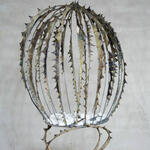 Arrancarse los dientes