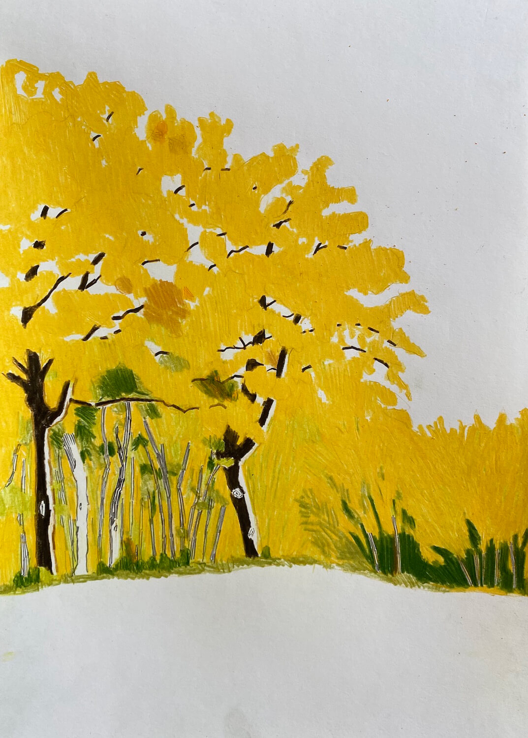 Autumn in Agedrup Forest