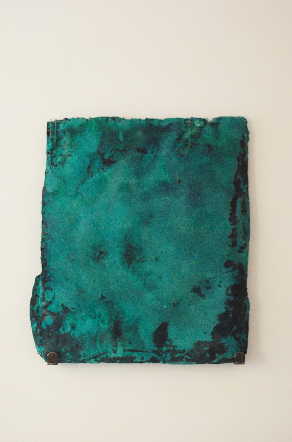 La Selva y sus enjambres verdes