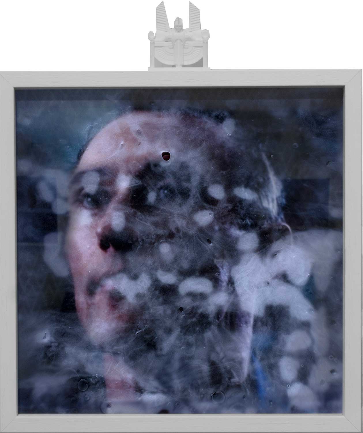 Moralia Equalium - Appaloosa