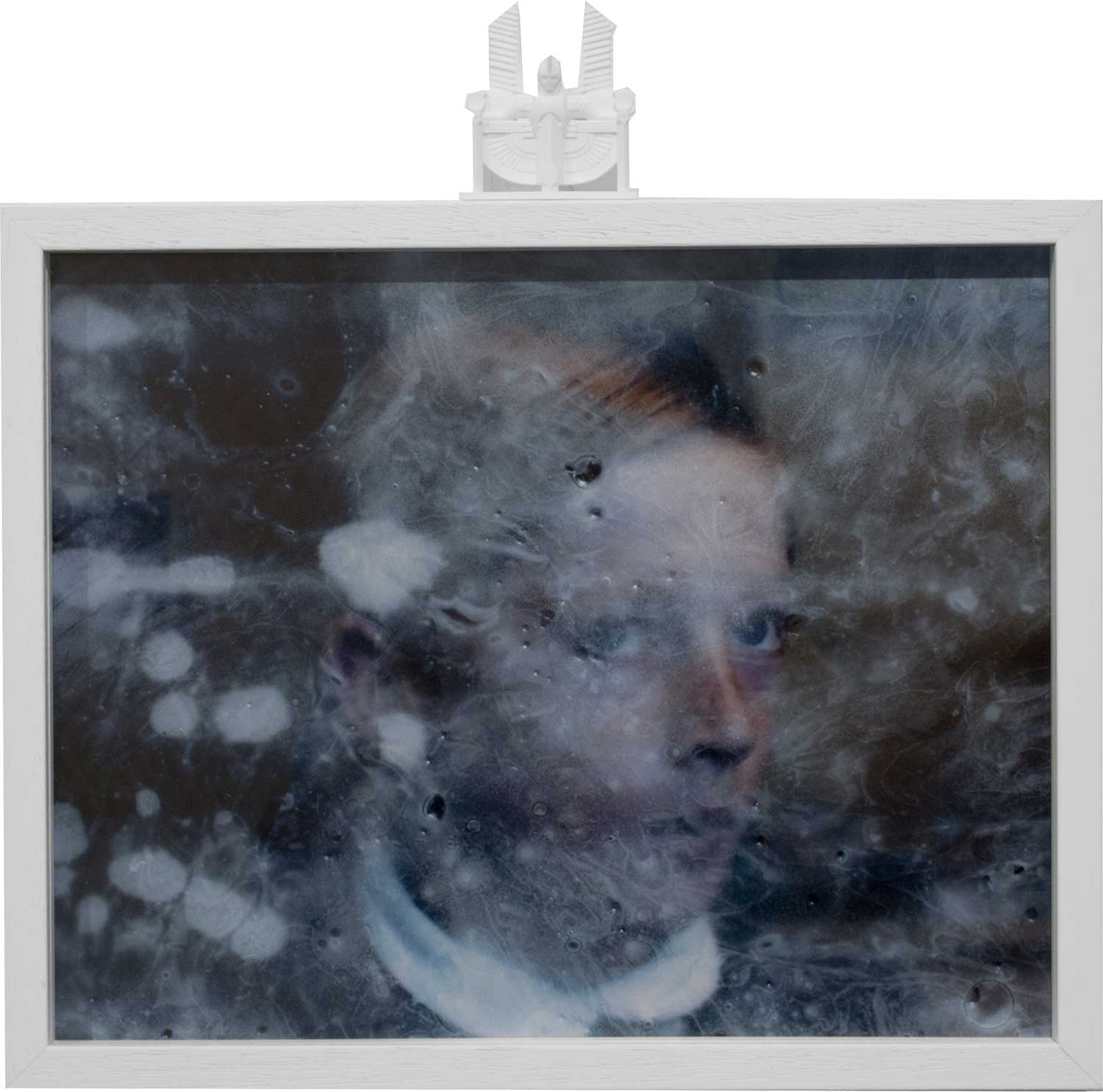 Moralia Equalium - Appaloosa