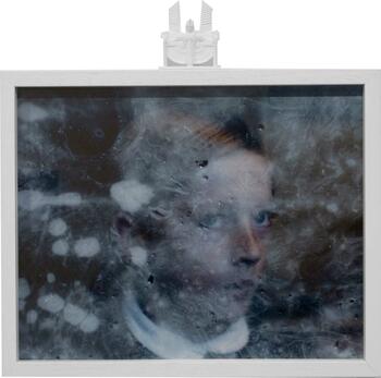 Moralia Equalium - Appaloosa