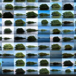 Beatriz Gil galería