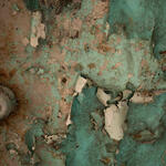 Disappearance II (Cocoon) 5