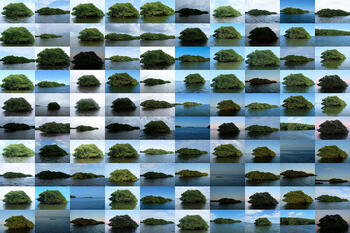 Every Being is an Island I